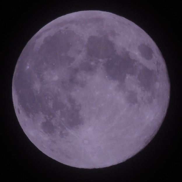 写真: Full moon-1