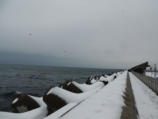 写真: 初冬の北防波堤ドーム