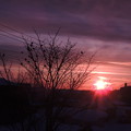 写真: 真冬の夕日