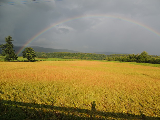 写真: 豪雨の後の虹