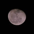 写真: 2012.12.31Last Moon