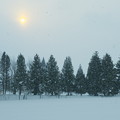 写真: 冬景色