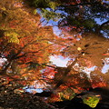 写真: 秋色　東京