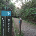 写真: 蟹ケ坂ハイキングコースに合流(^_^)v今から下山。