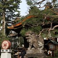 写真: 20130113京都へ初詣　大将軍八神社から車折神社　嵐電の旅 028