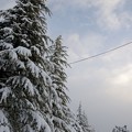 写真: 雪景色