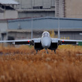 写真: F-15J＠ﾌｪﾝｽﾎﾟｲﾝﾄ(1)