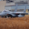 写真: F-15J＠ﾌｪﾝｽﾎﾟｲﾝﾄ(2)