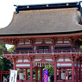 写真: 津島神社(3)