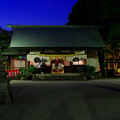 写真: 夜の紫陽花神社(1)