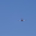 写真: 多摩湖堤防の上の飛行機