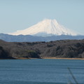 写真: 狭山湖と富士山