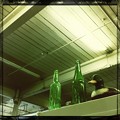 写真: Two Green Bottles and a Duck 1-19-13