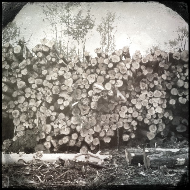 写真: Logging in Maine C. 1860（嘘）9-2-13