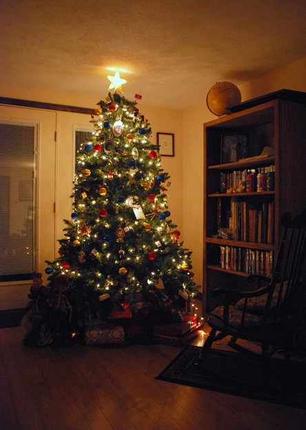 写真: Christmas Tree 2013