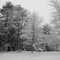 写真: Snowing 1-19-14