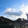 写真: 五稜郭タワー