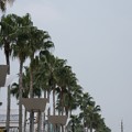 写真: 20121215_大阪南港
