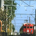 瀬戸電　ヘッドマ-ク（２８）　２０１３年　１１月