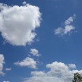写真: 今日の空と雲0801