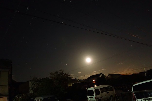 写真: 月光の夜