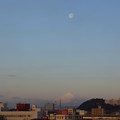 写真: 月と富士山と君津の街