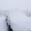 写真: 車の雪2