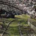 春の鉄路