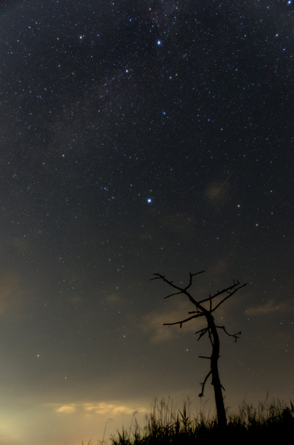 写真: ベガ、デネブとペルセウス座流星群