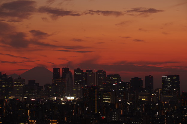 写真: Dusk of Tokyo
