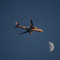 Photos: 夕陽を浴びて飛ぶ飛行機と上弦の月