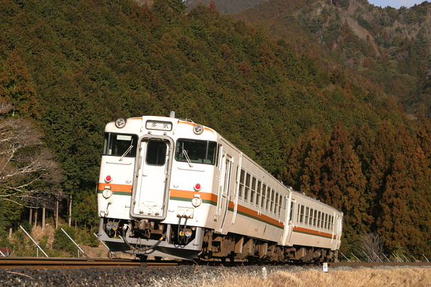 写真: 紀勢本線キハ40系