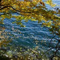 写真: 湖水の色が・・・