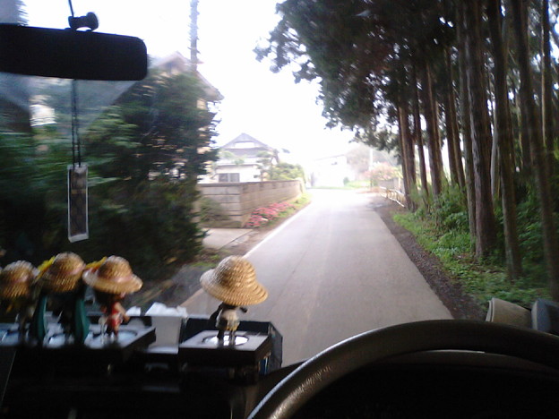 写真: 茨城県道50号水戸神栖線、ご覧の通りのケモノ道ｗｗｗ