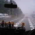 写真: 四街道市〜千葉市内、ゴリラげう雨なう！！