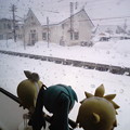 写真: 蘭島駅に到着、８分遅れ。 リン：「いよいよ雪がてんこ盛りだゅー！...