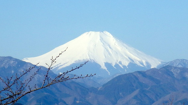 写真: 140323　高尾山頂からの富士山@741