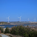 写真: 風力発電