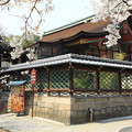 写真: 桜咲く御香宮神社　京都・伏見