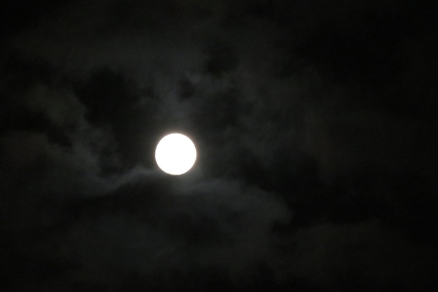 写真: 月にたなびく雲_01