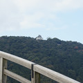 写真: 錦帯橋から岩国城