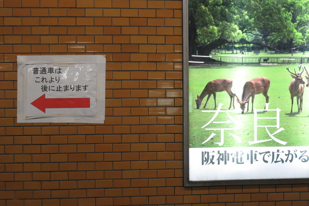 写真: 西元町　普通電車停車位置