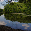 写真: 鯉が窪湿原　湖畔と青空_03
