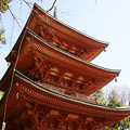 写真: 石峯寺　三重塔