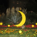 写真: 朝日ビル　庭の月