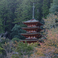 写真: 長谷寺　舞台から五重塔