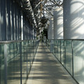 写真: 植物館　渡り廊下