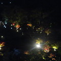 写真: 本館宿泊館からの夜景