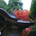 写真: 稲荷神社の紅葉_01