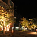 写真: 夜の名谷駅前広場_02